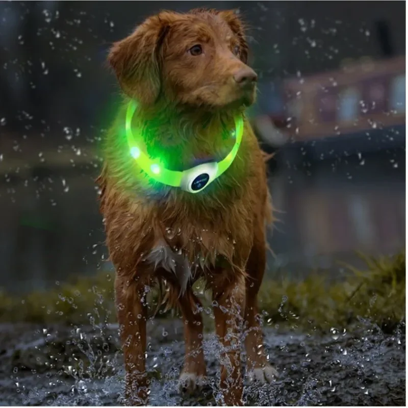 LED Waterproof Dog Collar – Glow for Night Safety 6