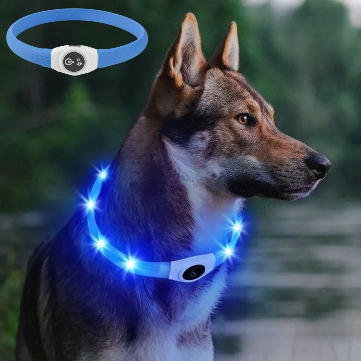 LED Waterproof Dog Collar – Glow for Night Safety 1